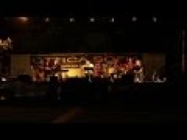 Mercanti in Fiera - Isola della Scala (VR)